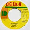 7-дюймовая пластинка BUSHMAN - Live My Life NONE Digital-B 2003 США Регги, Ска и Даб Б/У