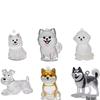 Puppy Transparent Hair Storage Box - Cute Pom-Pom Animal Dustproof Keepsake Decoration Gift