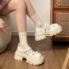 White French Retro Thick-soled Light-mouth Thick-heeled Single Shoes for Women's 2025 New Summer Skirt JK Mary Jane Shoes