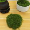 Simulation Moss Diy Artificial Moss Green Plant Decoration Landscaping Bonsai Pavement Silky Fake Moss