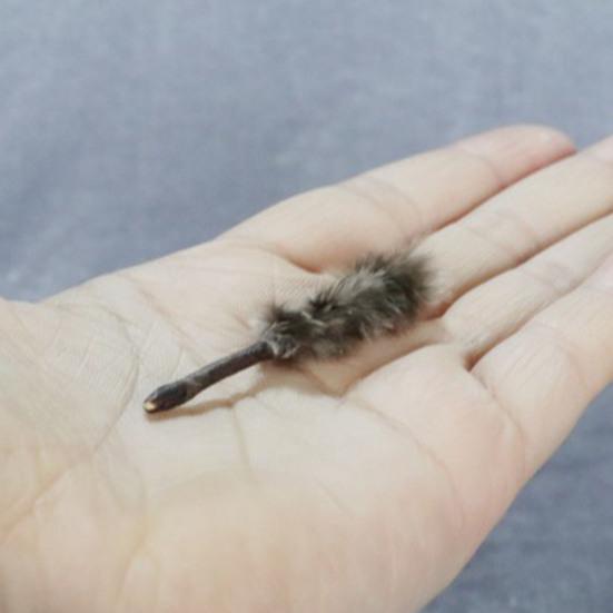 Красивая экологичная модель мини-игрушки для кукольного домика в масштабе 1/12 Feather Duster