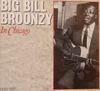 CD BIG BILL BROONZY - Historical Recordings 1932-1937  ZET742 Zeta Records 1990 Japan Soul/Funk Used