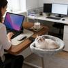 Foldable Cat Desk Bed Space-Saving Under Desk Perch Hanging Kitten Bed for Indoor Cats, Home Office Travel, Small to Large Breed