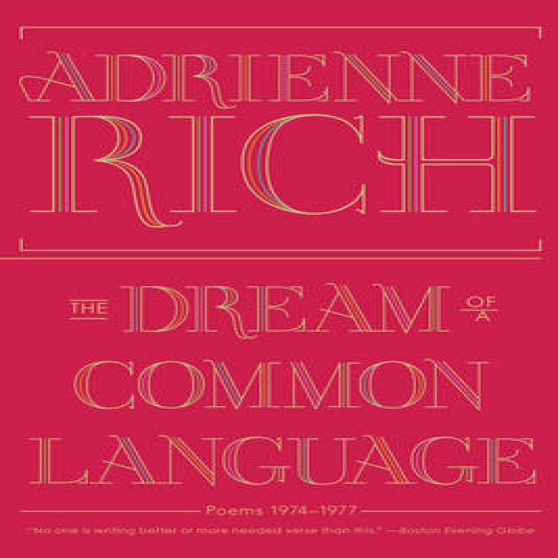 The Dream of a Common Language by Adrienne Rich Paperback Book 9780393346008