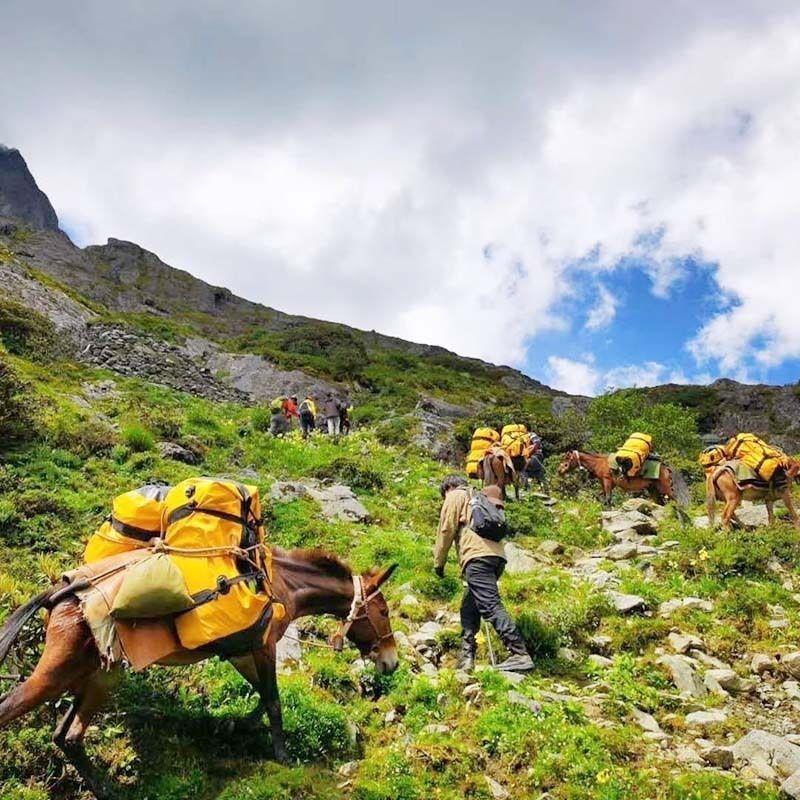 Автомобильный бокс на крыше