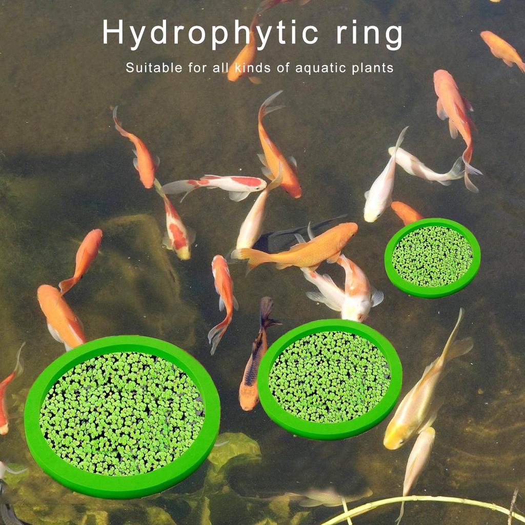 Плавающий загон для растений в аквариуме, 5 шт., плавающие держатели для растений, кольца для кормления рыб для аквариумов 80-200 мм, принадлежности для аквариумов