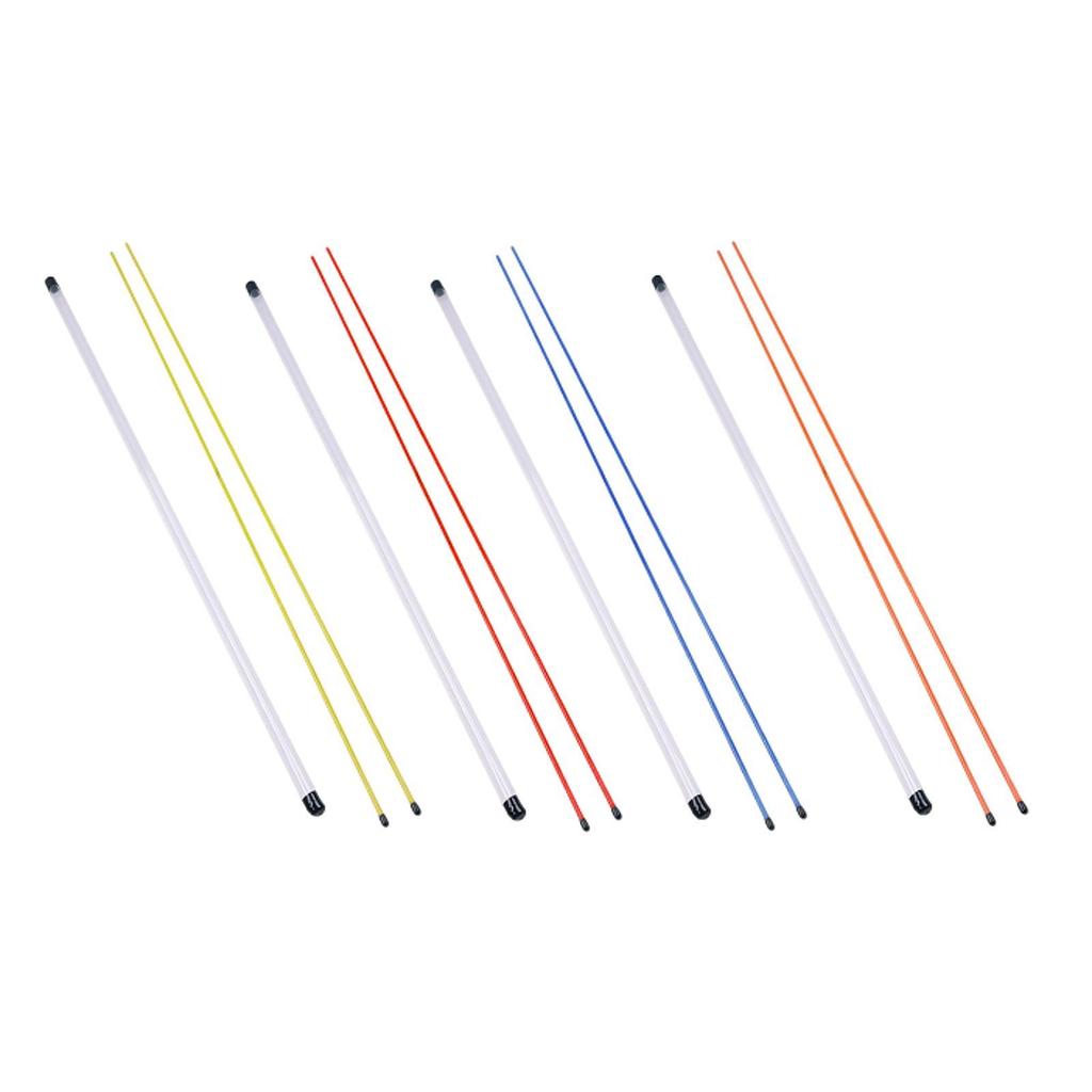 2 Pieces Golf Alignment Rods with Clear Tube Case Swing Guide Tool Portable Swing Training 122cm for Aiming Accessories