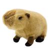 Yoshinori Riku No Friends Plush Toy Capybara S 180250