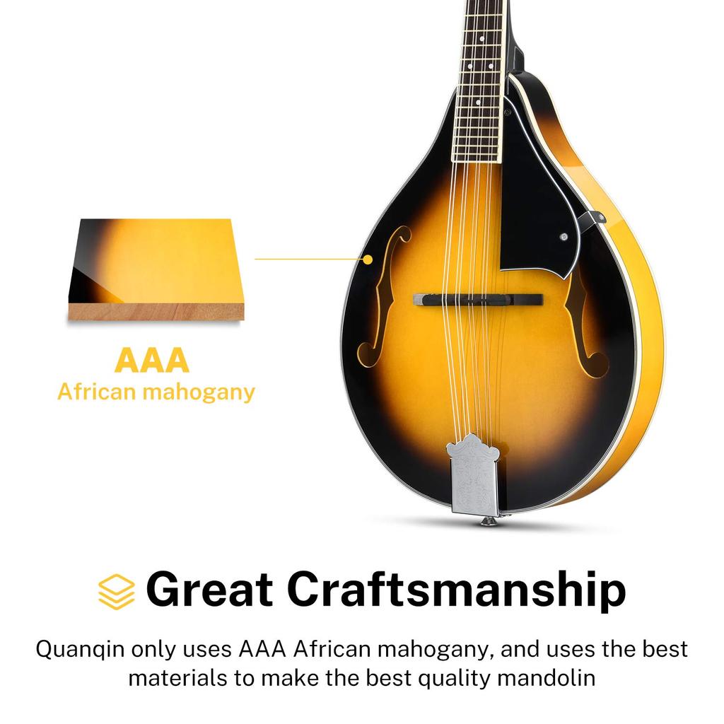 Donner Mandolin 8 струн для начинающих с мягким футляром и тюнером Струны DML & & & (солнечные лучи)