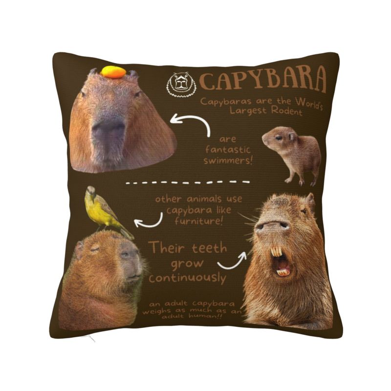Cute Animal Capybara Cushion Cover x cm Polyester Soft Throw Pillow Case For Sofa Chair Decoration Bedding Pillowslip