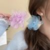 Новинка 2024 года, заколка для волос с большим цветком, модная шифоновая челка, заколки для волос, детские головные уборы для девочек, аксессуары для волос на отдыхе
