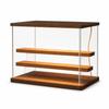 Acrylic Display Case with LED Lights and Tiered Shelves, Dustproof Collectible Organizer Medium