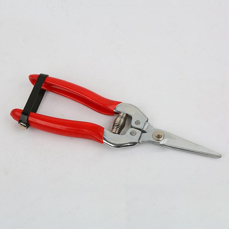 Stainless Steel Tree Pruning Garden Shears Grass Fruit Cutter Gardening Scissors Branch Pruners