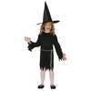 Fiestas Guirca Girls Classic Witch Costume