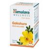Himalaya Ashvagandha & Gokshura Tablets Combo – 60 Tablets Each