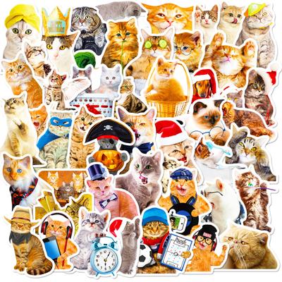 50 Реалистичных наклеек с котами, Милые мультяшные наклейки-граффити с котами, Наклейки для блокнотов и канцелярских коробок