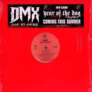 12-дюймовая пластинка DMX - We In Here 82876829671 Columbia 2006 US Rap & Hip-Hop/R&B б/у