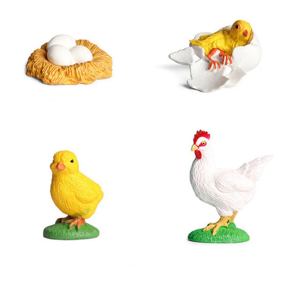 Cycle Plastic Models Life Cycle Figurine Simulation Animals Action Figures Growth Cycle Model