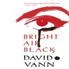 Bright Air Black by David Vann Paperback Book 9780099592266