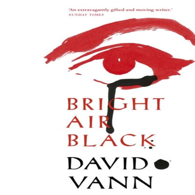 Bright Air Black by David Vann Paperback Book 9780099592266