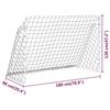 VidaXL But de Football avec Filet Cage de But de Football But de Sport Rebondisseur de Soccer Jardin Extérieur Blanc 93370