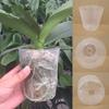 Plastic 10Pcs/Set Sturdy Transparent Plant Grow Cup Practical Drainage Hole Plant Grow Pot
