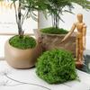 Simulated Artificial Micro Landscape Design Fake Lawn Green Fur Stone Showcase Living Room Home DIY Scene Decoration Flower Moss