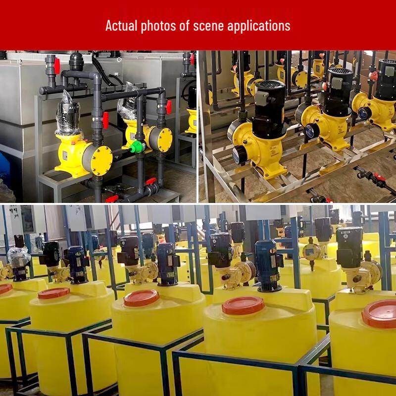 SHEN YI LAI JWM Mechanical Diaphragm Dosing Pump