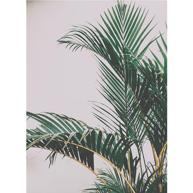 Современная картина на холсте с природой, зеленые листья, картины с растениями, постеры с деревьями, принты для декора гостиной, настенное искусство куадрос