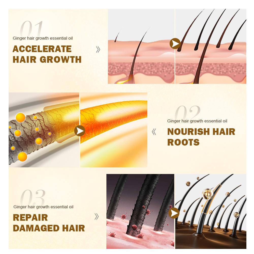 PURC Масло для быстрого роста волос, против выпадения волос, лечебная сыворотка с эфирным маслом имбиря, средства по уходу за волосами