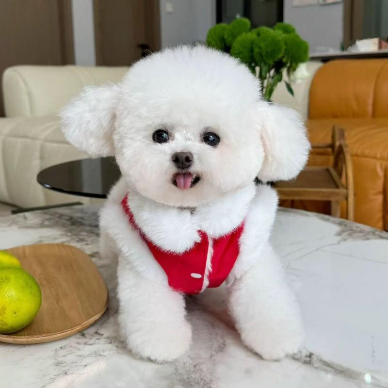 Winter Pet Costume Dog Cat Lion Embroidered Warm Vest Chinese New Outfit