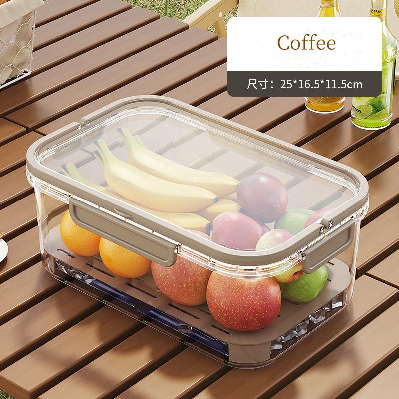 Portable Large Capacity Multifunctional Sealed Refrigerated Lunch Box Handheld Fresh-keeping Box Food Grade Fruit Sealed Box