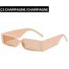 Small Square Fashionable Cat Eye Sunglasse 2023 Retro Square Trendy Glasses Fashion Sunglasses Personality Cool Glasses UV400