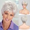 HAIRCUBE Silver Gray Easy Care Wigs Pixie Cut Human Hair Wigs for Women Pretty Short Wigs for Women Natural Realistic