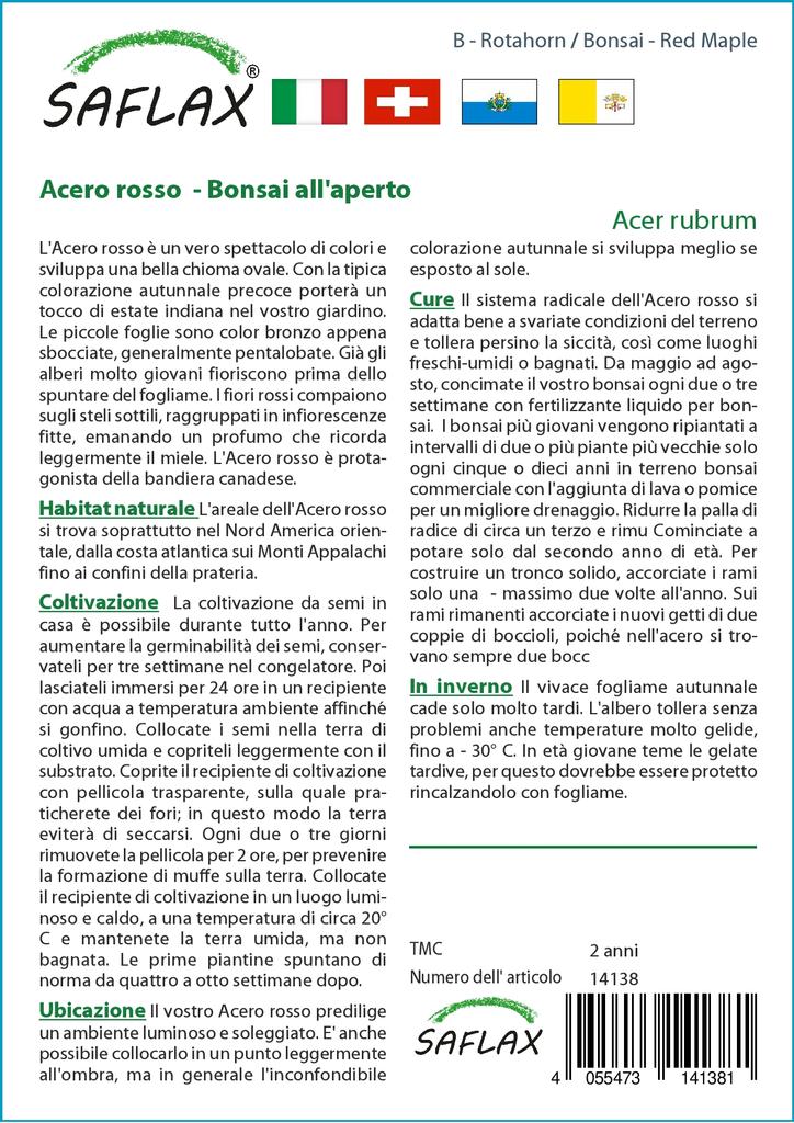 SAFLAX Бонсай - Красный клен - 20 семян - С горшечным субстратом для лучшего выращивания - Acer Rubrum