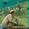 Shunxing Dark Green Anti-aging Greenhouse Shade Net