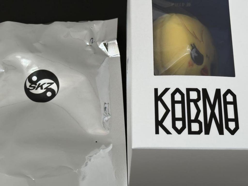 [Б/У] straykids KARMA SKZOO Погари