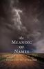 Книга The Meaning of Names