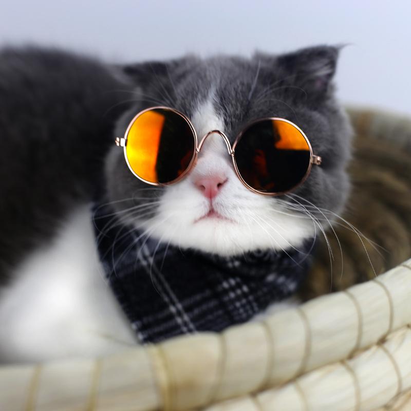 Косплей Костюм для кошек, одежда, рождественские аксессуары для домашних животных, ошейник от блох, Санта-игрушки, товары, домики для собак, котят, собак