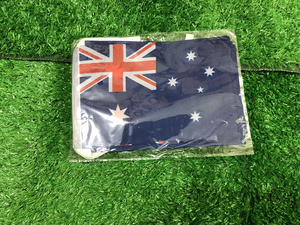 SKY FLAG Австралия Гирлянда из флажков 14x21 см 20 шт./лот Полиэстер Флажки-вымпелы Австралия Гирлянда на веревке Флажки Фестиваль Вечеринка Праздник
