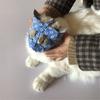Breathable Cat Recovery Cat Grooming Anti-Bite Cat Mask Anti-Bark Cat Muzzle