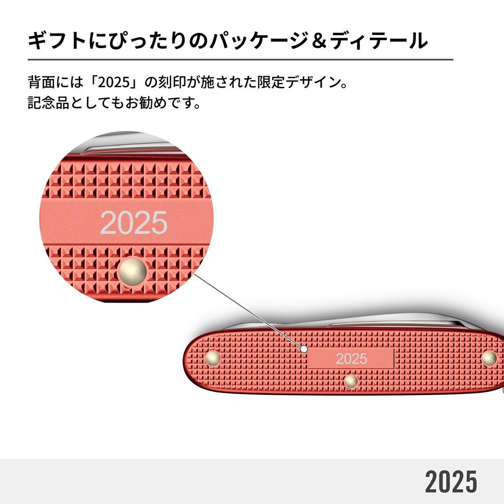 Victorinox Первопроходец