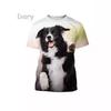 Border Collie 3D Printed T-Shirt Cute Puppy Printed O-Neck Short Sleeve T-Shirt Men Women Men