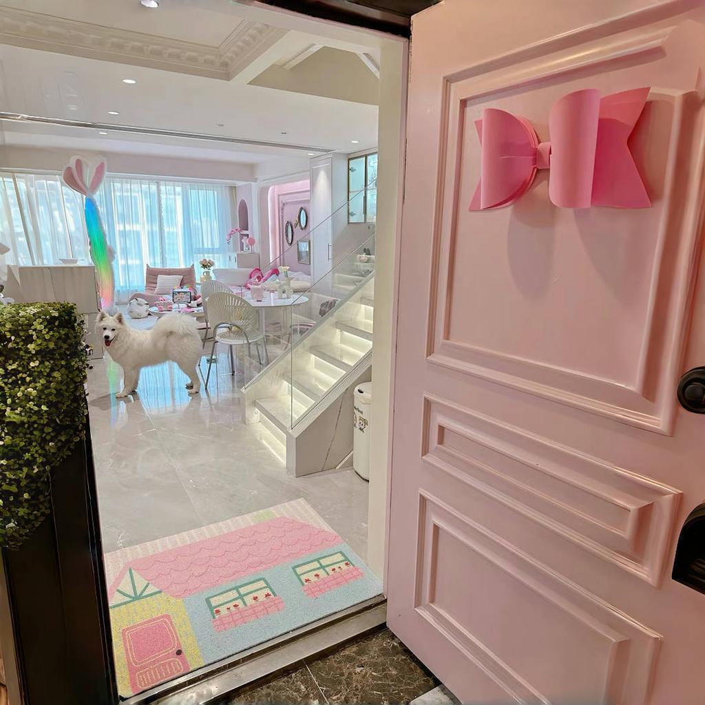 С кремом The Wind и Haiyuan Chuang, корейский коврик для входа с защитой от ветра, нескользящий скребковый коврик для ног, шелковый коврик для входа, устойчивый к грязи и порезам