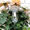 Mushroom Shape Plant Watering Glass Globes Glass Drip Irrigation System  Home Supplies