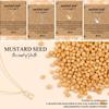 Золотистый цвет Ожерелье из семян горчицы Христианский подарок Цепочка Ожерелье Новое Ожерелье с подвеской