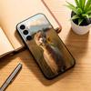 F-Funny A-Animals A-Alpaca  Phone Case For Samsung Galaxy A73,A72,A71,A70,A53,A52,A51,Others Soft Black Cover