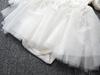 Princess Baby Girl Tassel White Dress Long Sleeve Spring Autumn Lace Party Dresses + Hats