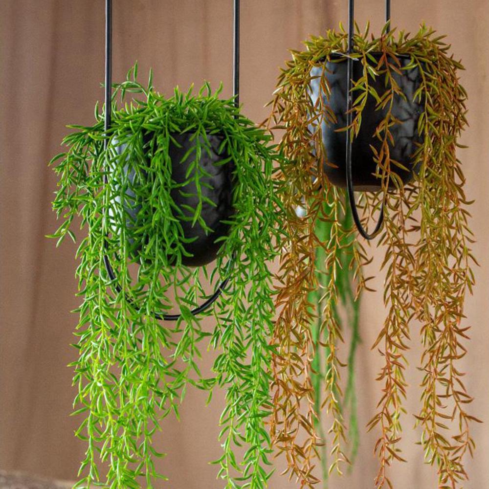 Modern Wall & Ceiling Home Decoration Swinging Hanging Basket Planter Flower Pot Plant Pot