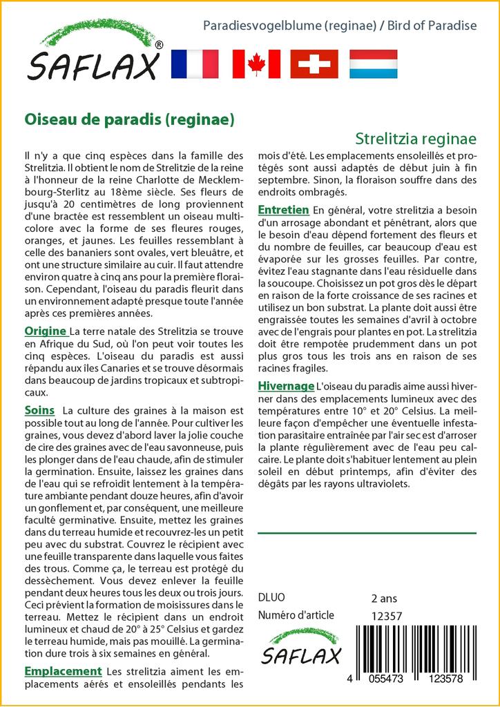 SAFLAX - Gift Set - Bird of Paradise - 5 seeds - With gift box, card, label and potting substrate - Strelitzia reginae